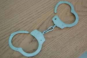 Slika //lisice01.jpg