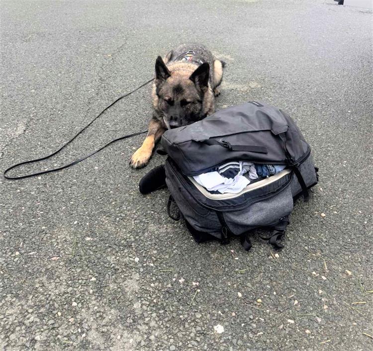 Slika /2025/DROGA-PAS-3.9..jpg