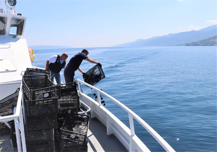 Slika /2026/OPATIJA-JE%C5%BDINCI-2.jpg