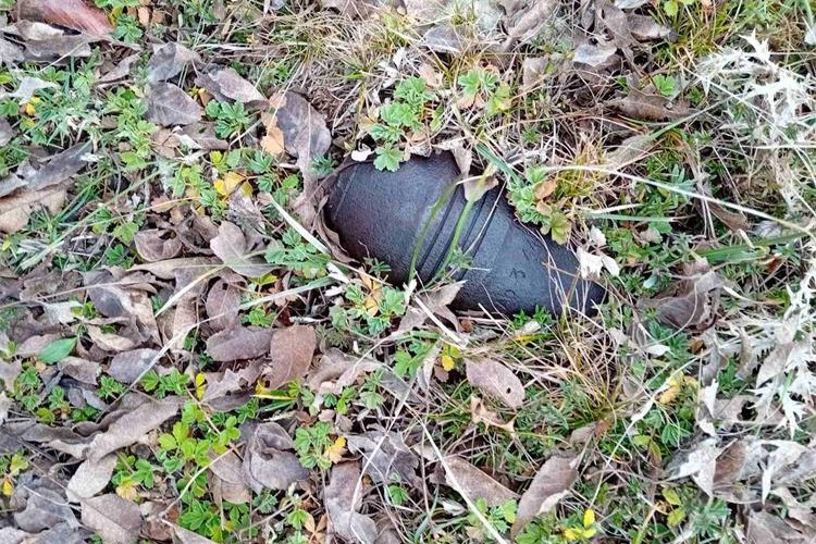 Slika /A%20Nove%20Fotke/MINA-BRIBIR-20.11..jpg