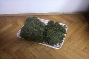 Slika /Droga/trava-mala.jpg