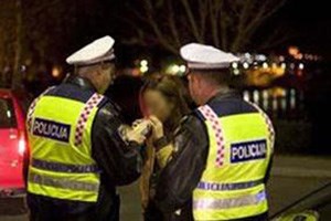 Slika /alkotest02.jpg