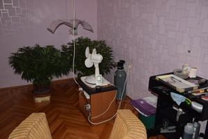 Slika /vijesti/2016/trava-uzgoj.JPG