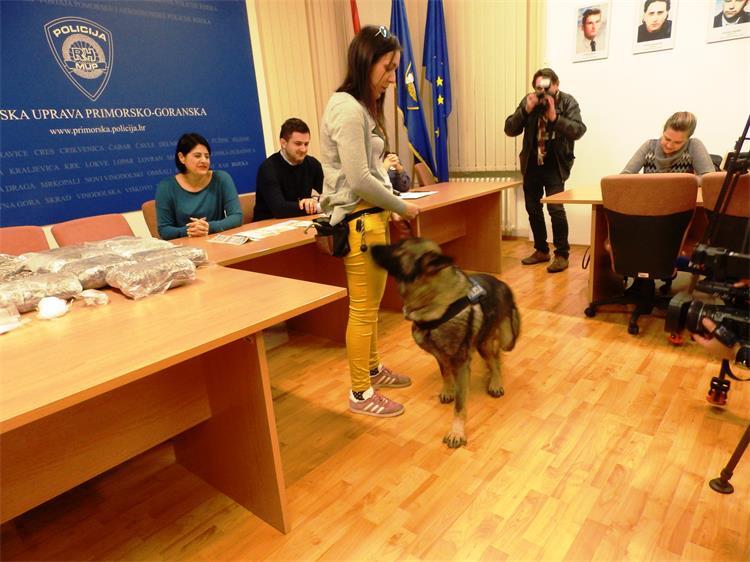 Slika /vijesti/2020/DROGA%20I%20PAS-GLAVNA.jpg