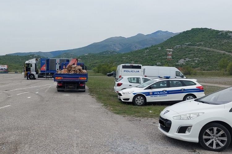 Slika 2021/Kikovica22.jpg