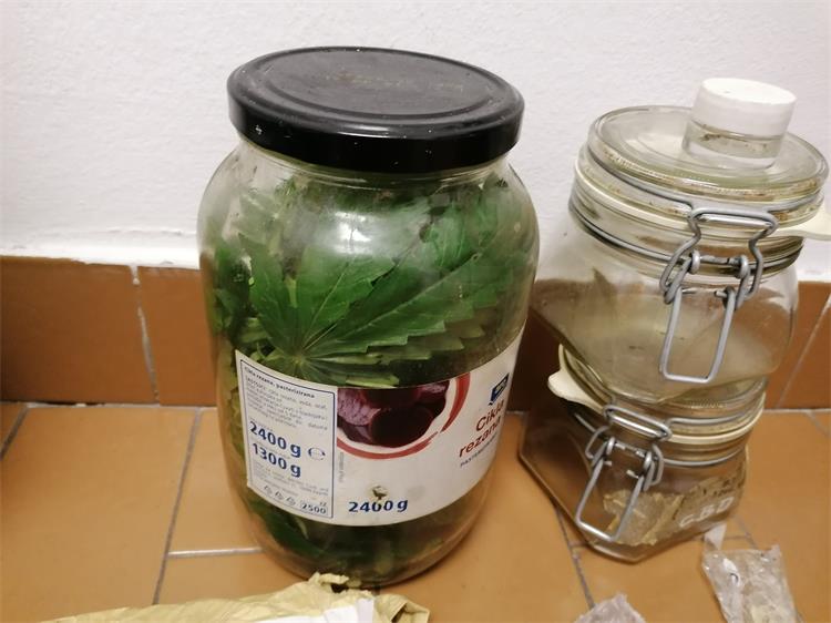 Slika 2023/Droga%20Crikvenica%202.jpg