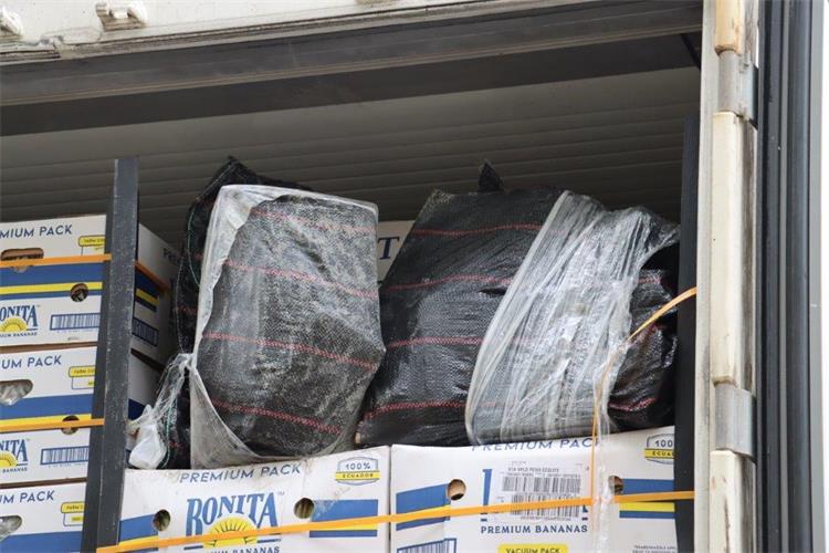 Slika Droga/Kokain%20-%20carina%20(8).jpg