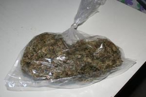 Slika Droga/Krasicalab.jpg