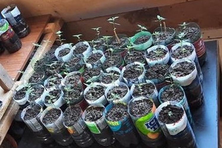 Slika Droga/Krk%20droga%201x.jpg