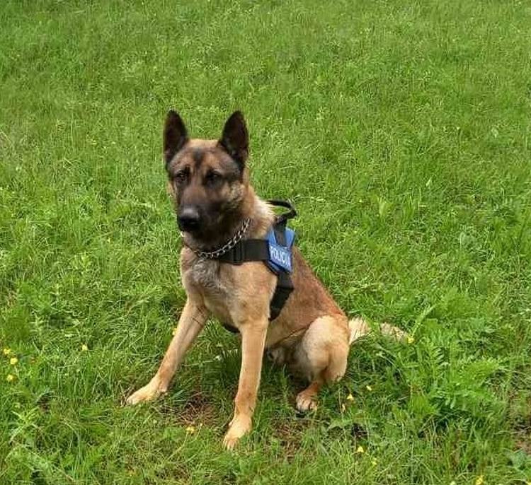 Slika Droga/Rocky3.jpg