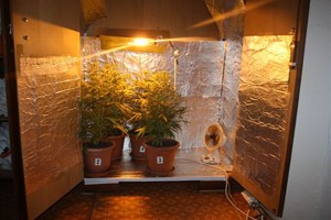 Slika Droga/macin-mala.jpg