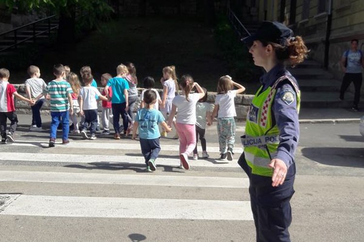 Slika PROMET/2018/Delfin.jpg