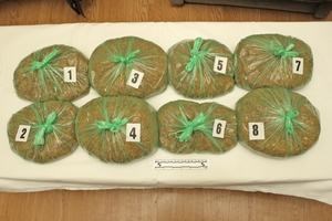 Slika Prevencija/2017/Duhan.JPG