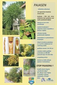 Slika Prevencija/Pajasen-mala.jpg