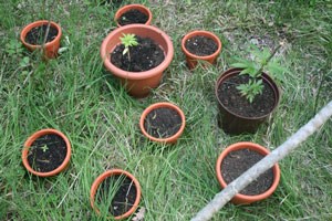 Slika dro-opmala.jpg