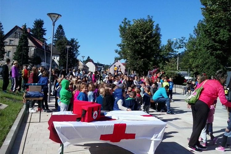 Slika vijesti/2015/DELNICE-VJEŽBA.jpg