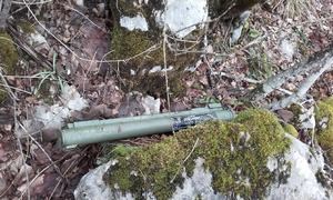 Slika vijesti/2016/Zolja.jpeg