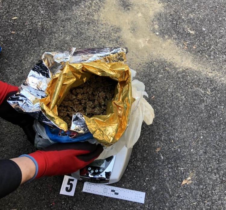 Slika vijesti/2019/%C4%8Cavli-droga%20(1).jpg