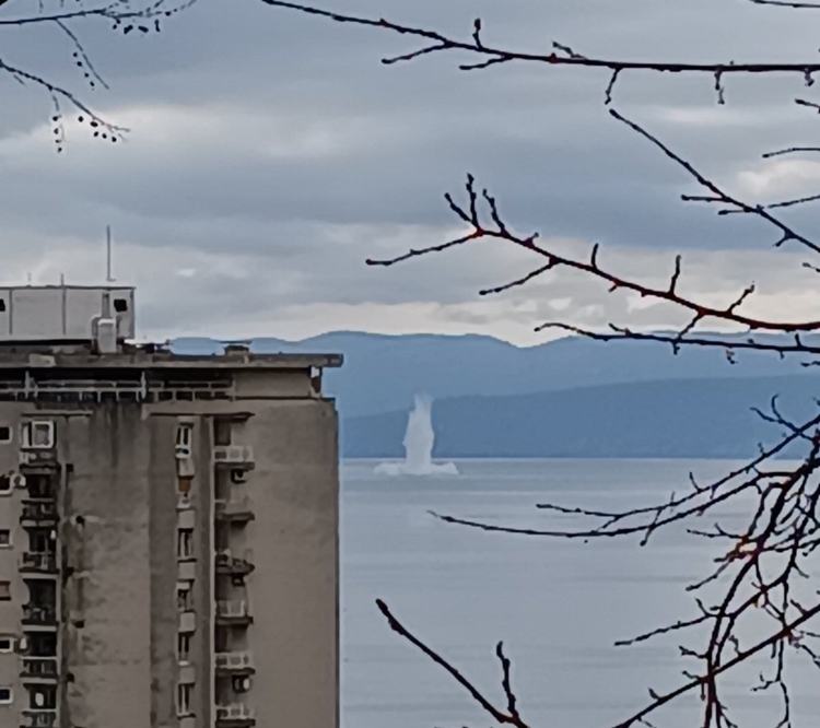 Slika vijesti/Mina-mala%20novo.jpg